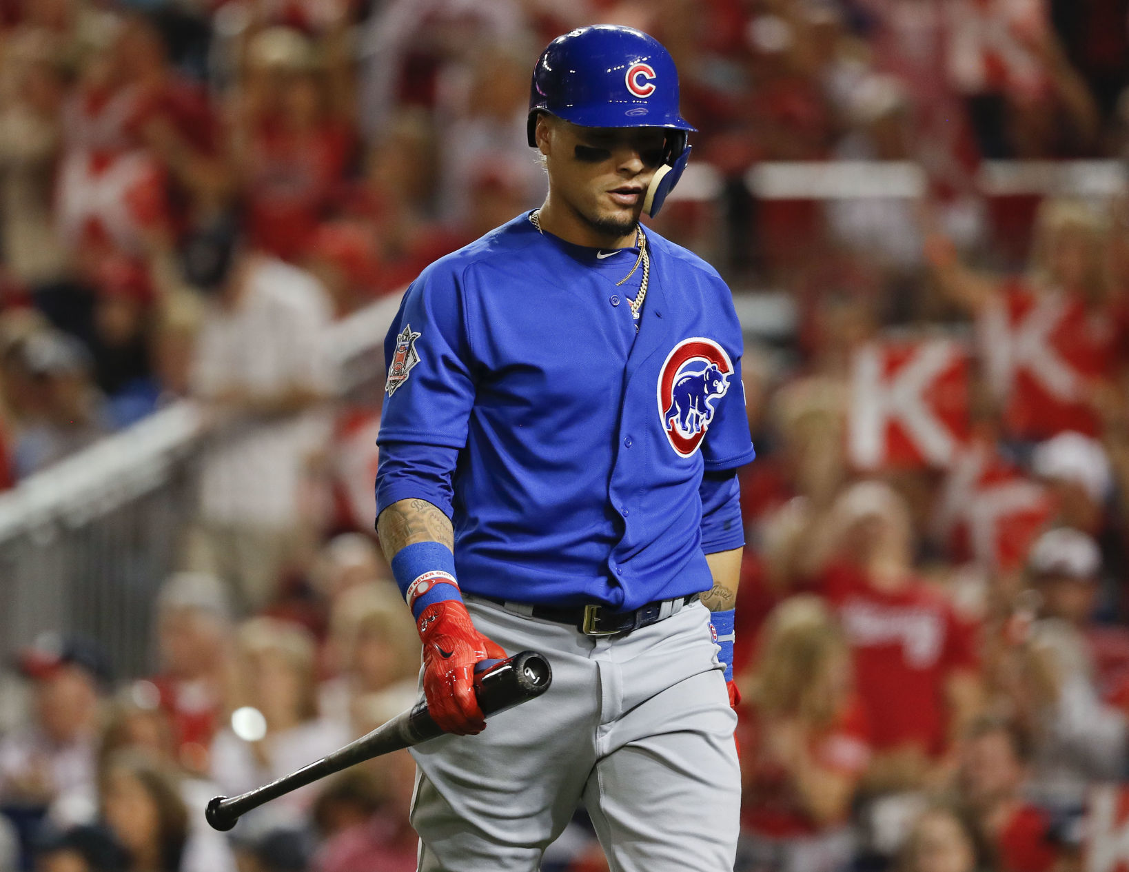 NLDS Cubs Nationals Baseball
